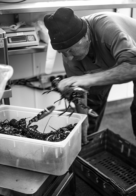 Catch of the day, Vaughan's of Lahinch, Co. Clare