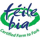 feile_bia_award_logo